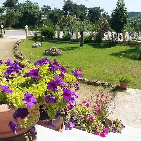 招待所 所提利亚旅馆