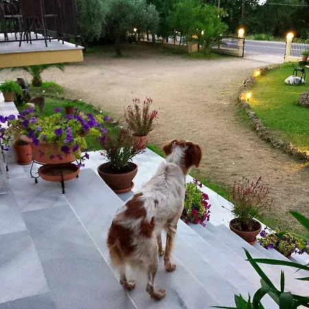 所提利亚旅馆 招待所