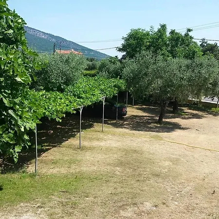 所提利亚旅馆 招待所 3*