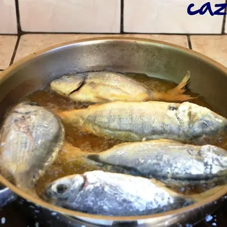 所提利亚旅馆 3* 基尼拉