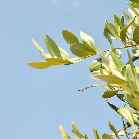 招待所 所提利亚旅馆 3*