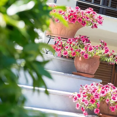 所提利亚旅馆 招待所 3*