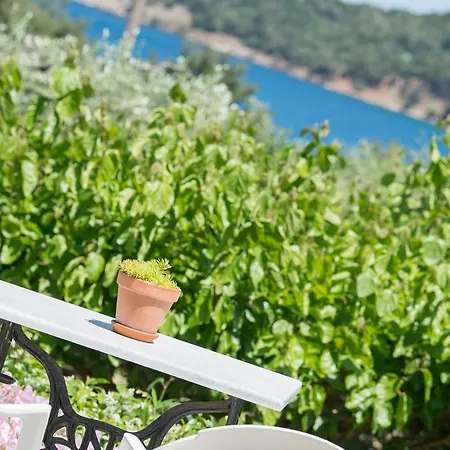 招待所 所提利亚旅馆