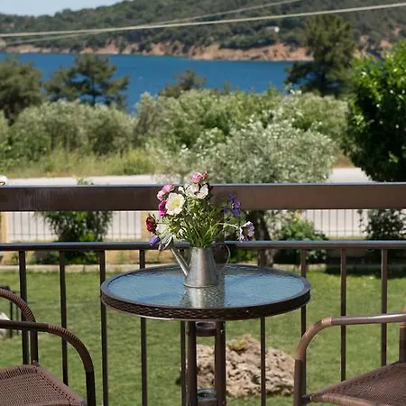 所提利亚旅馆 3* 基尼拉