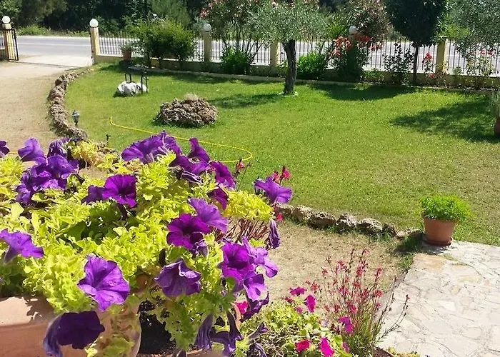 ゲストハウス Sotiria