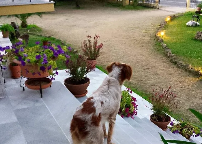 Sotiria ゲストハウス