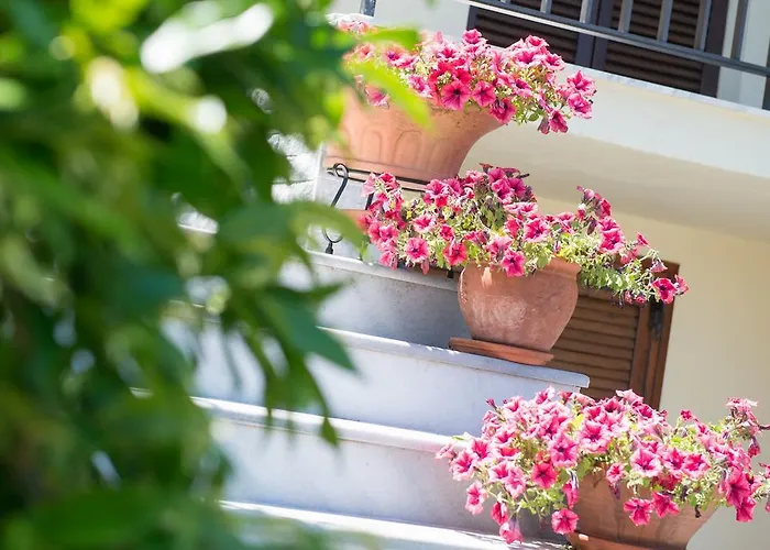 Sotiria ゲストハウス 3*